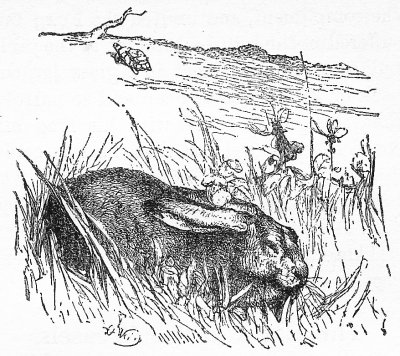 The Hare, trusting to his native swiftness, cared little about the race, and lying down by the wayside, fell fast asleep.
