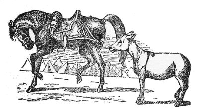 AN ASS congratulated a Horse on being so ungrudgingly and carefully provided for, while he himself had scarcely enough to eat, nor even that without hard work.