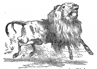 AN ASS, having put on the Lion's skin, roamed about in the forest and amused himself by frightening all the foolish animals he met in his wanderings.