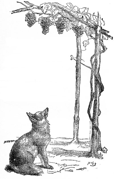 The Fox and the Grapes, Aesop