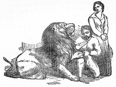 A LION demanded the daughter of a woodcutter in marriage.