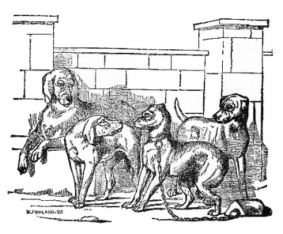 That bell and clog that you carry are marks of disgrace, a public notice to all men to avoid you as an ill-mannered dog.