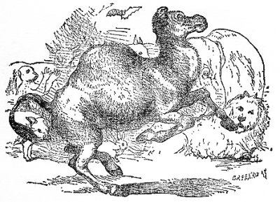 The Camel, envious of the praises bestowed on the Monkey and desirous to divert to himself the favor of the guests, proposed to stand up in his turn, and dance for their amusement.