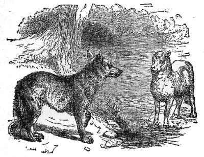 The wolf justifying his right to eat the lamb.