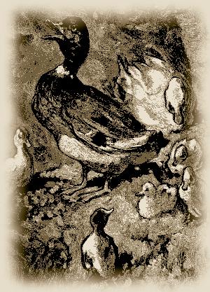 Illustration
