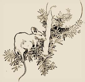 Illustration: